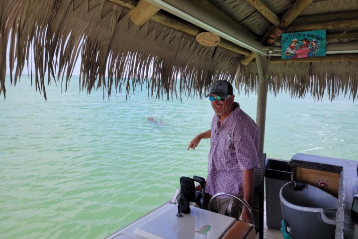 Person on a boat under a thatched roof, pointing at water with a dolphin swimming nearby.