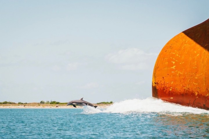 Dolphin jumping near a large boat's hull on open water.