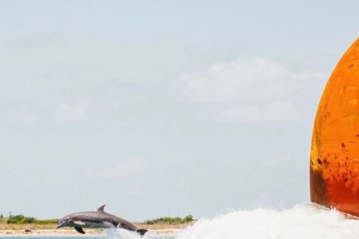 Dolphins leap beside large, rusty orange structure in water.