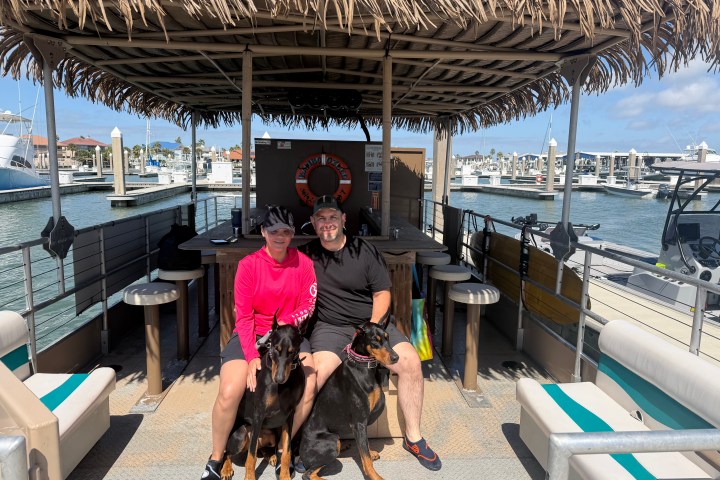 Two adults with two Dobermans on a boat with a marina background.