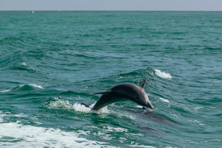 a man flying through the air while riding a wave in the ocean