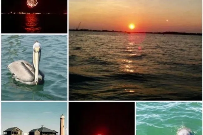 Collage: sunset over water, pelican, lighthouse, fireworks at night, and dolphin in turquoise water.