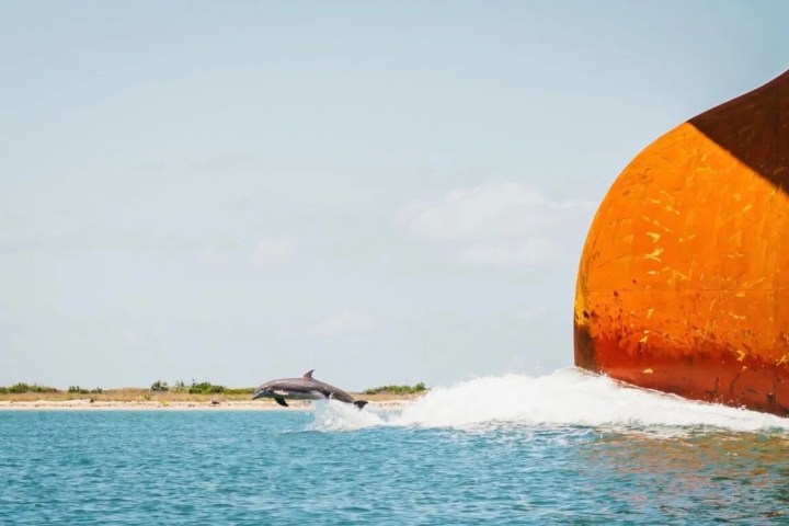 Dolphin jumping in water near large orange ship hull.