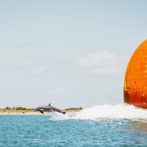 Dolphin jumping near a large orange ship's hull in open water.