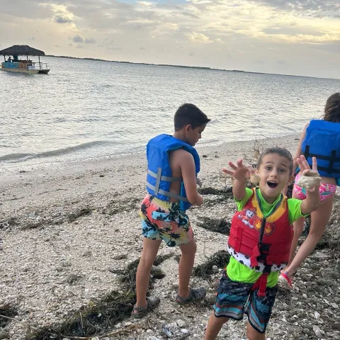 Children wearing life jackets playing on a beach with shells and seaweed.