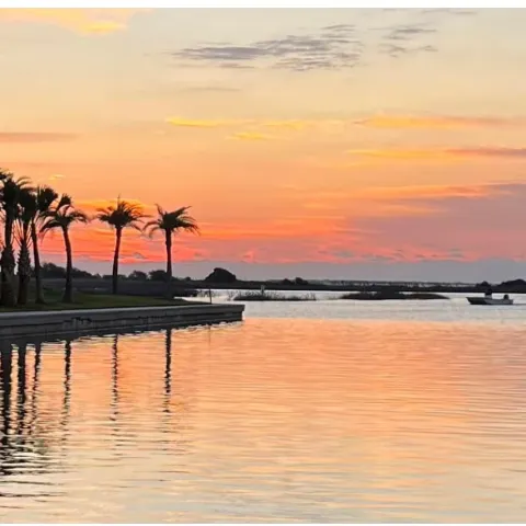 Sunset over a calm lake with silhouetted palm trees and a small boat.